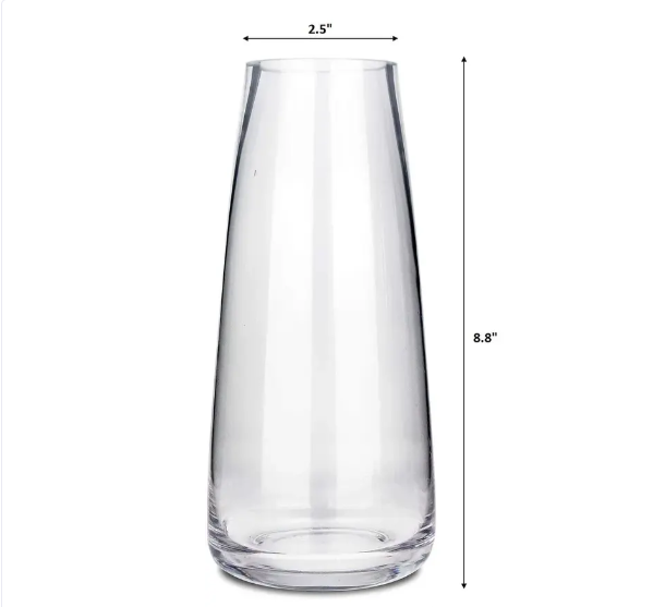 Minimalist Glass Vase